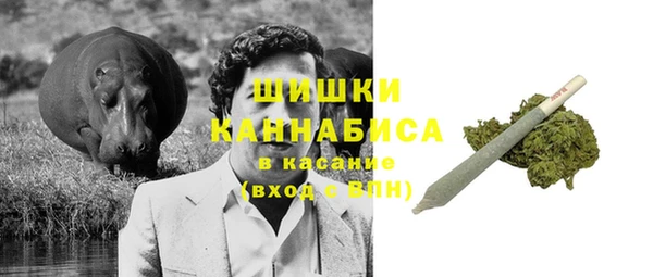 дживик Абаза