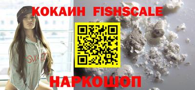 мдпв Камышлов