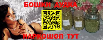 мдпв Камышлов