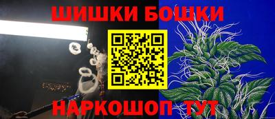 гидра Кандалакша