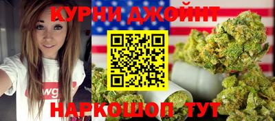 мдпв Камышлов
