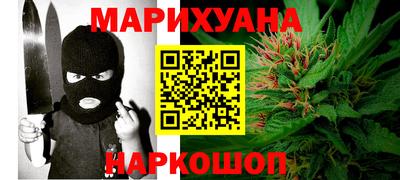 мдпв Камышлов