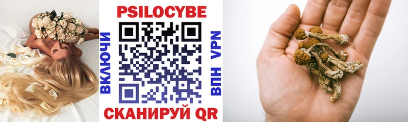 Псилоцибиновые грибы мицелий  Магнитогорск 