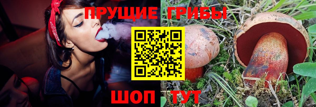 Псилоцибиновые грибы MAGIC MUSHROOMS Магнитогорск