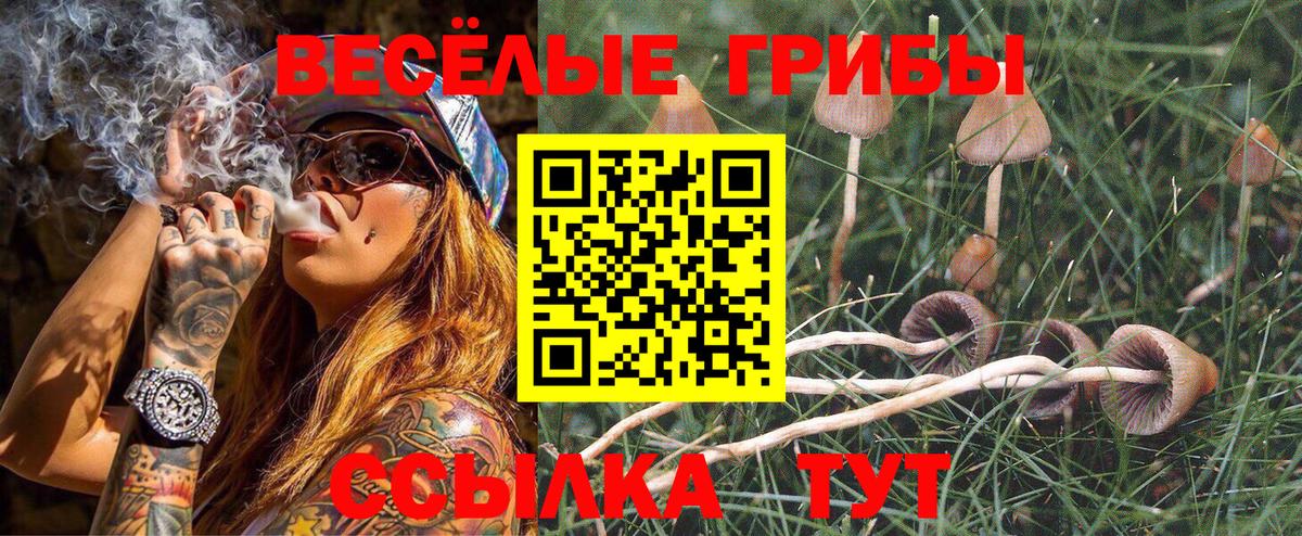 Магнитогорск  Галлюциногенные грибы мицелий  Вход с VPN 
